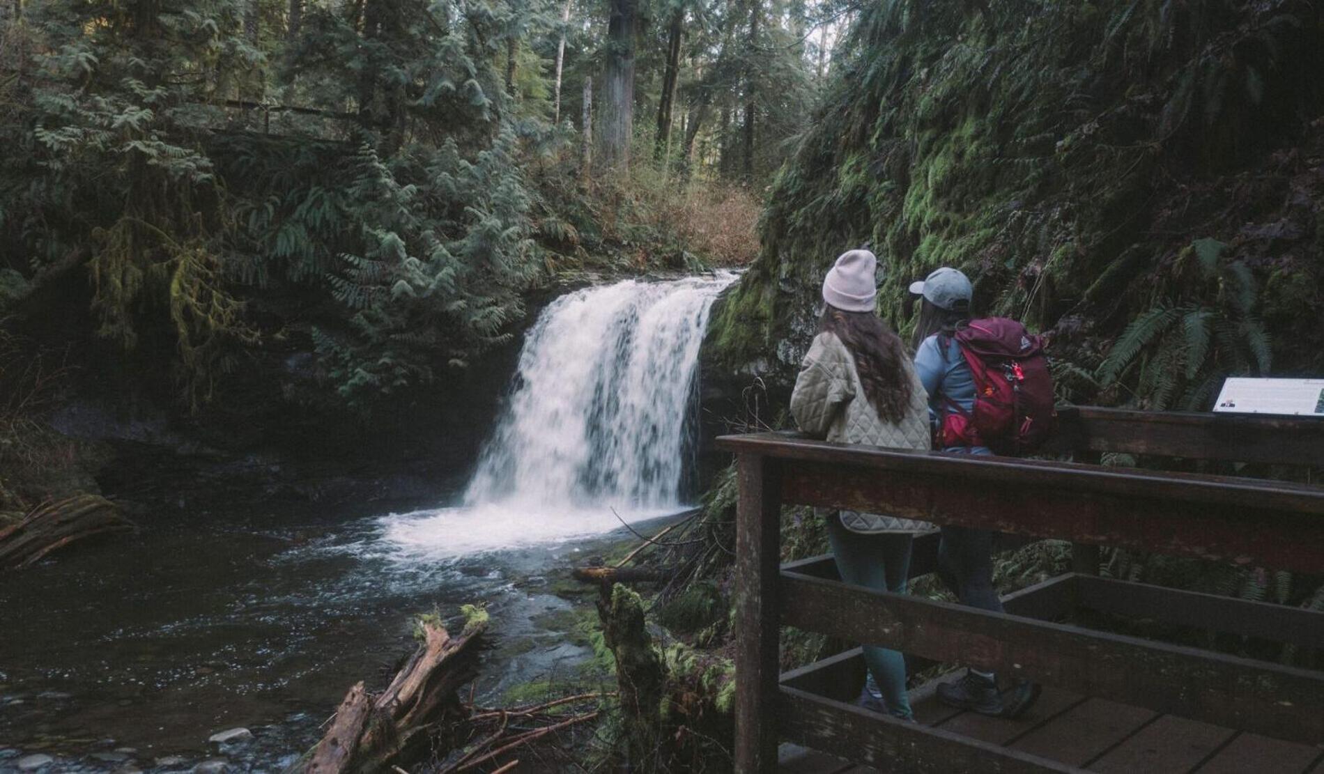 Cowichan Valley Guest Cottage Ladysmith Ngoại thất bức ảnh